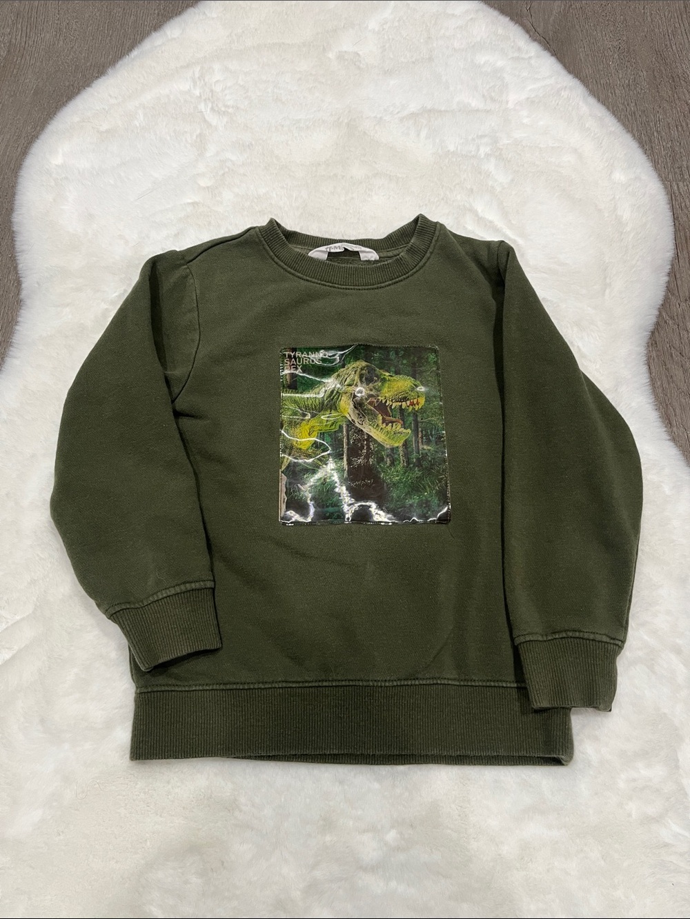 H&M Olive Green Dinosaur Graphic Sweatshirt